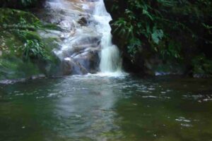 Trilha da Cachoeira Pedra Lisa