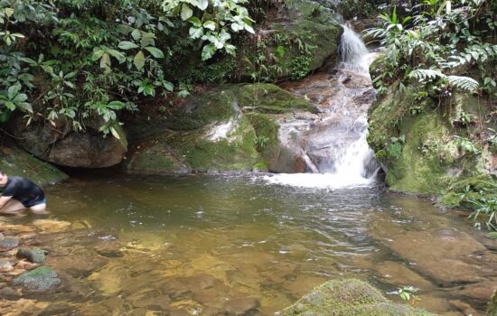 IMG-20250204-WA0065